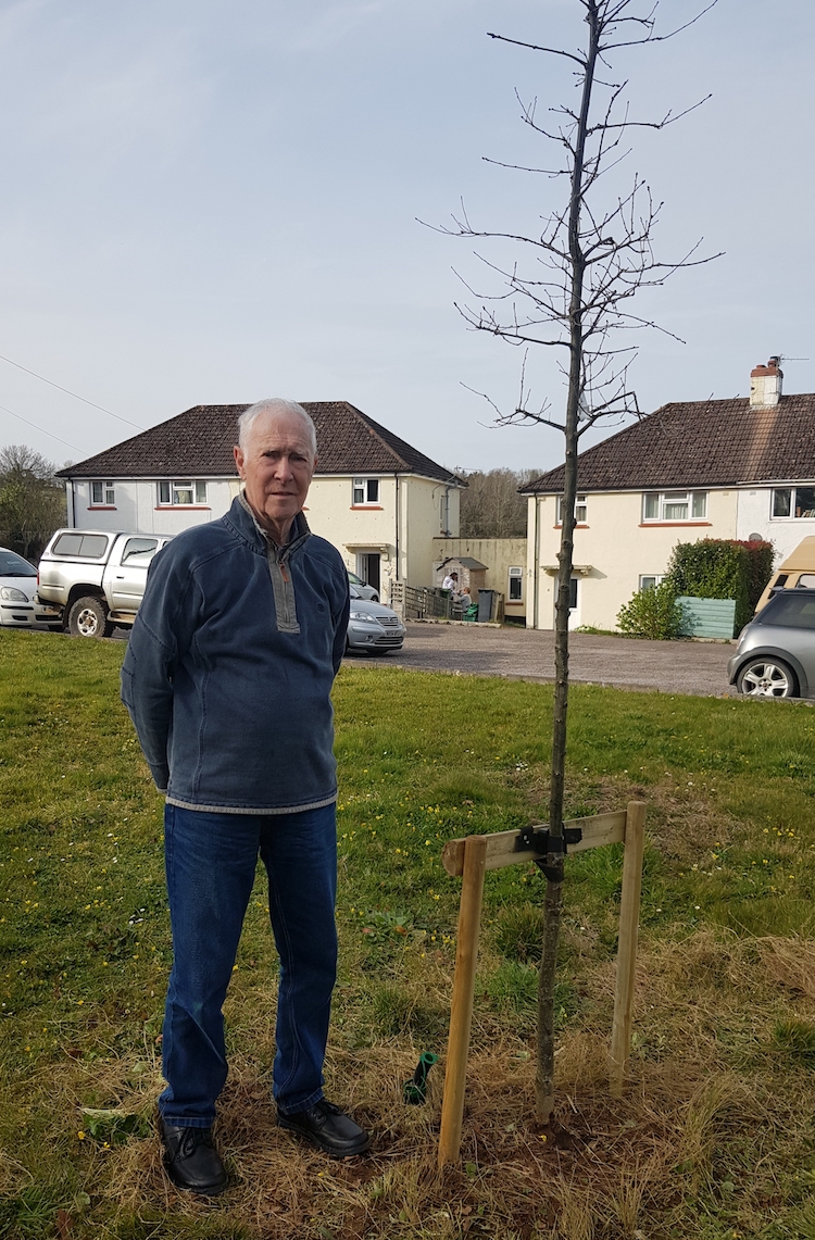 Jubilee tree with Councillor Alan Cook